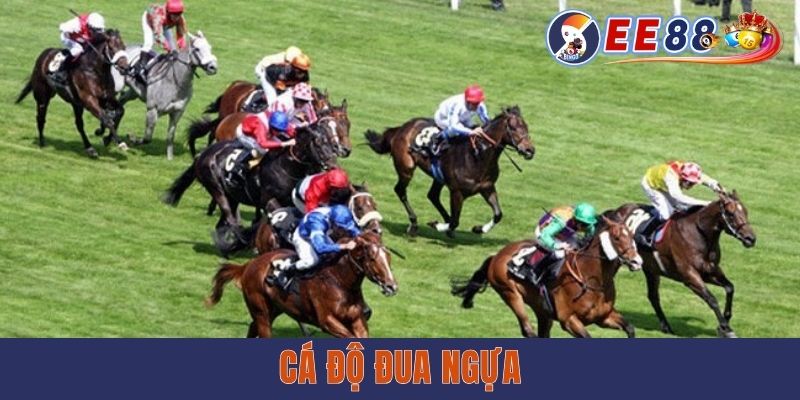 Cá Độ Đua Ngựa - Bộ Môn Cá Cược Kịch Tính, Thưởng Hấp Dẫn Cá Độ Đua Ngựa - Bộ Môn Cá Cược Kịch Tính, Thưởng Hấp Dẫn tại ee88