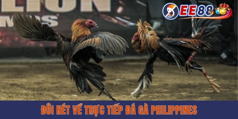 Trực Tiếp Đá Gà Philippines - Xem Miễn Phí Cùng EE88 Đôi nét về trực tiếp đá gà Philippines