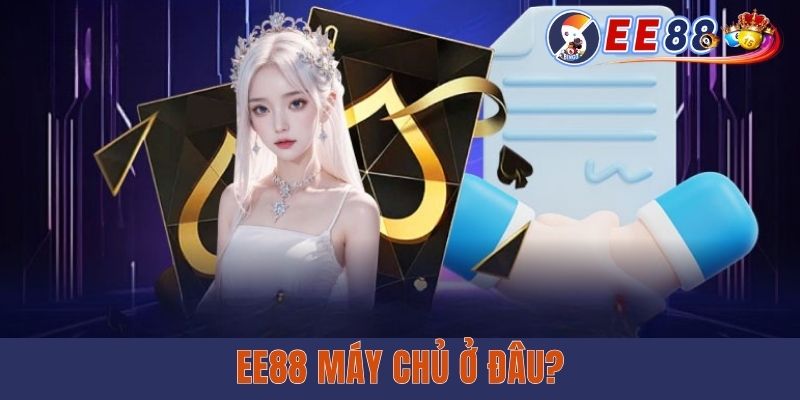 EE88 Máy Chủ Ở Đâu? Tiết Lộ Thông Tin Địa Lý Nhà Điều Hành