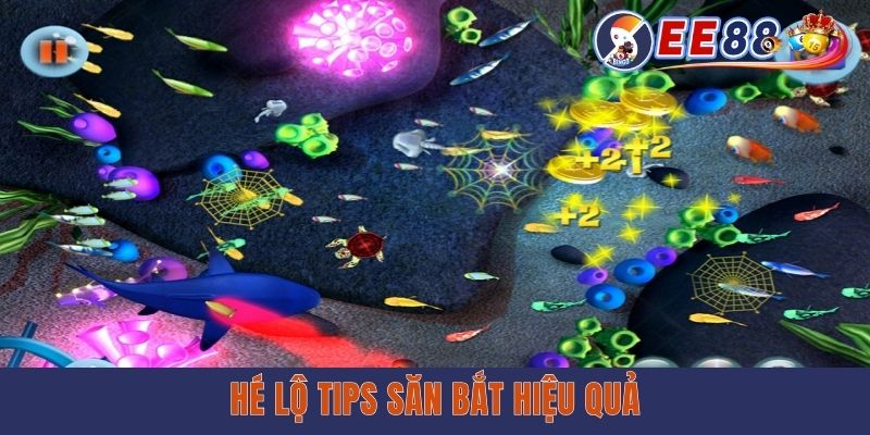 Bắn Cá Hải Vương - Thâu Tóm Đại Dương, Săn Thưởng Hấp Dẫn Hé lộ tips săn bắt hiệu quả