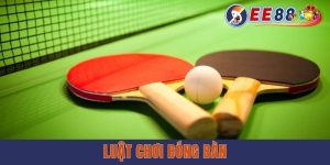 Toàn Tập Luật Chơi Bóng Bàn Chuẩn Chỉ A-Z Cho Newbie