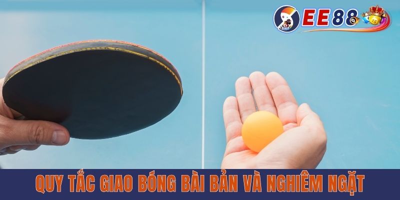 Toàn Tập Luật Chơi Bóng Bàn Chuẩn Chỉ A-Z Cho Newbie Quy tắc giao bóng bài bản và nghiêm ngặt